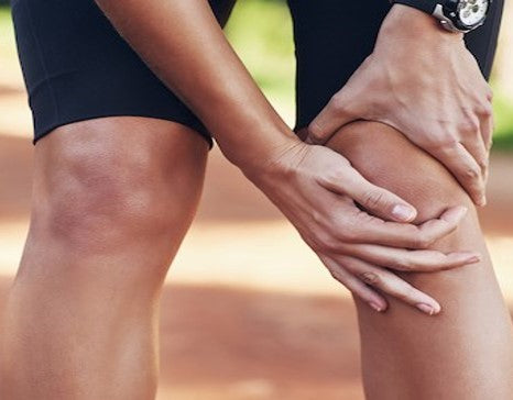 Anatomia Palpatória: Sabes Realmente Onde Estás a Tocar?