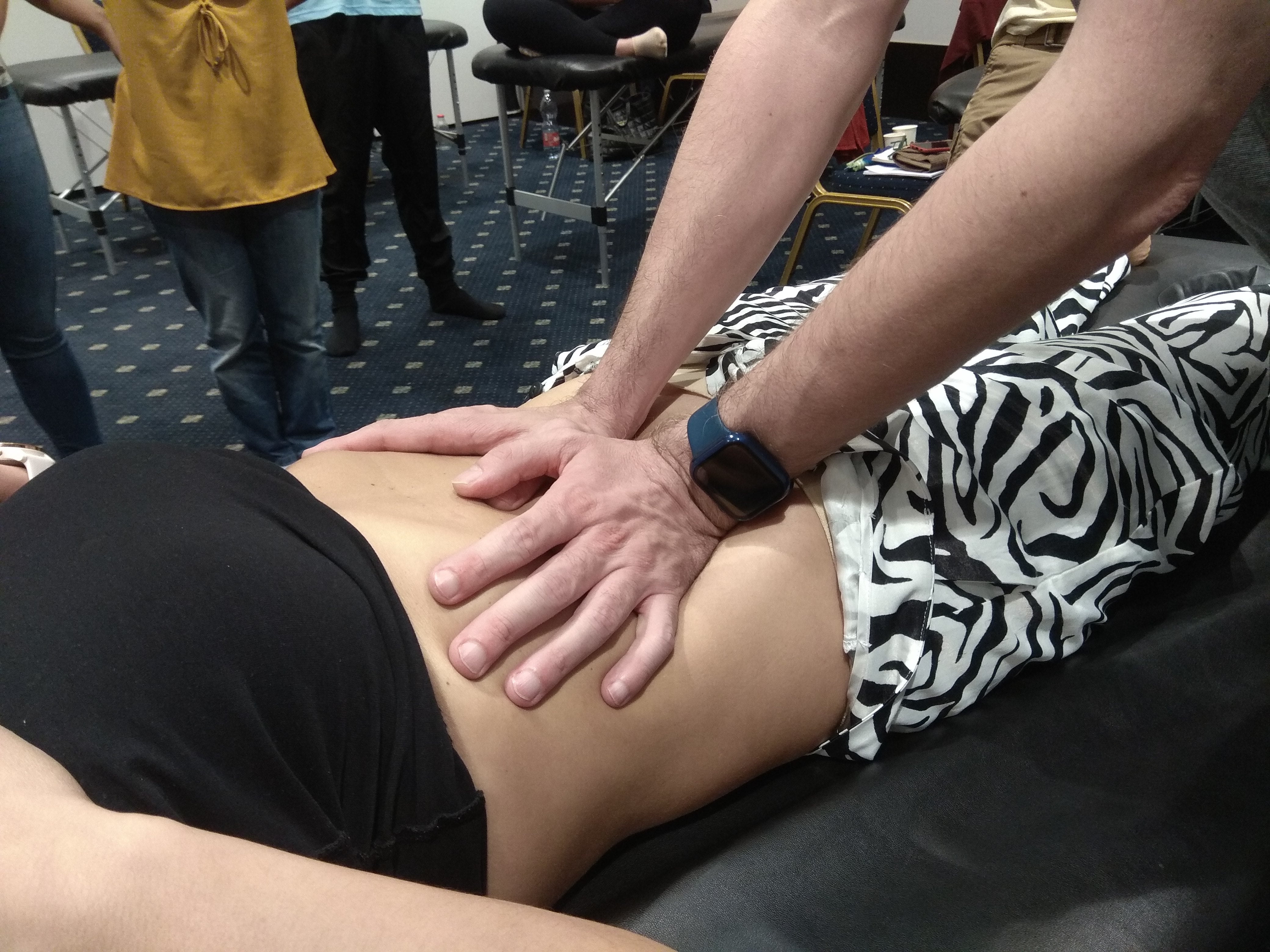 Manipulação Visceral | 1.ª Edição