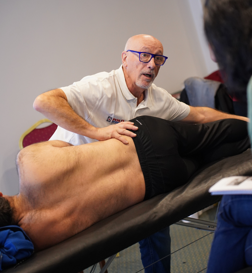 CONCEITO POLD® de Terapia Manual Oscilatória - Coluna, Tórax e Pélvis | 14.ª edição