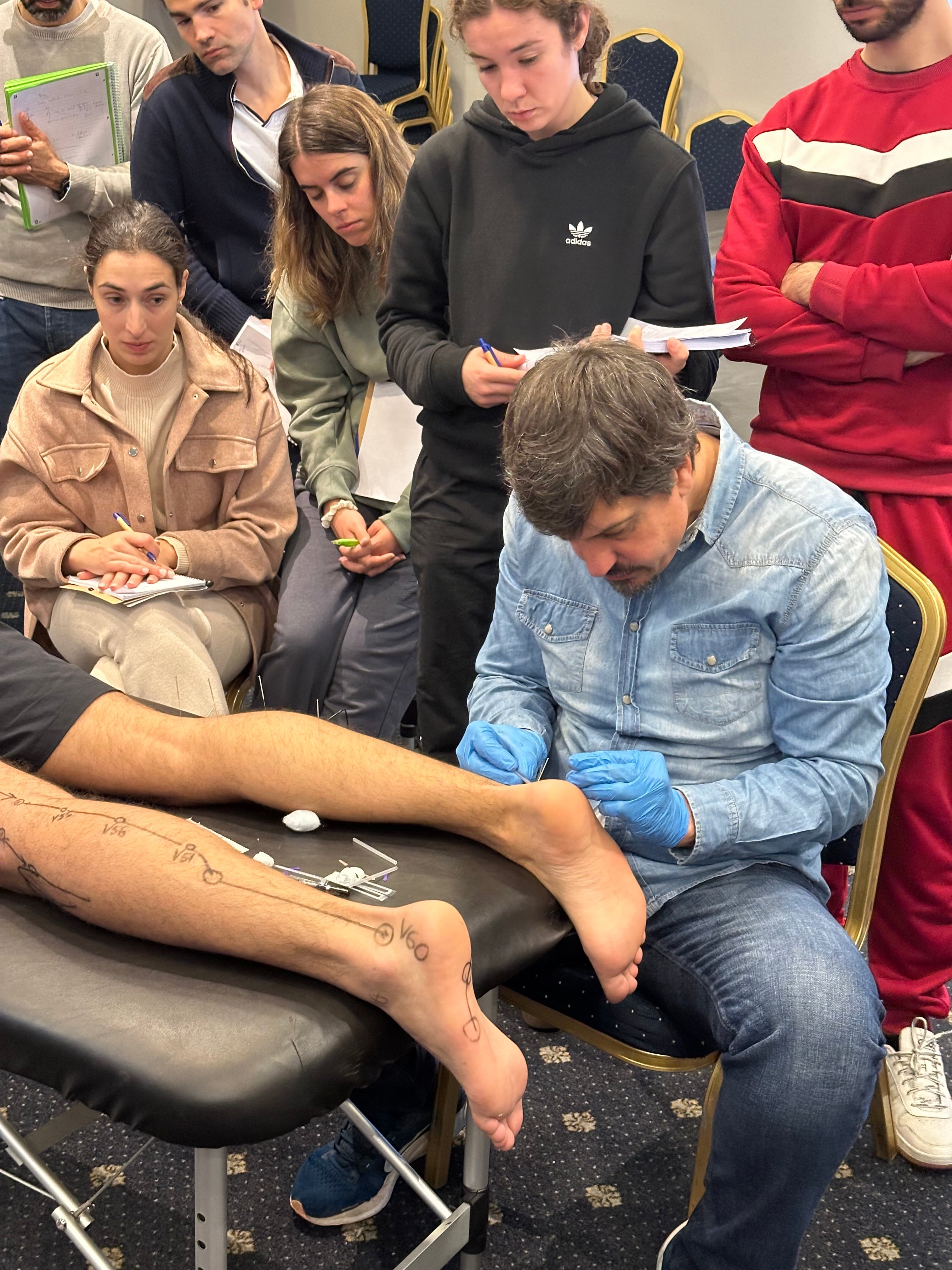 Puntura: a evidência científica que sustenta a sua aplicação clínica moderna