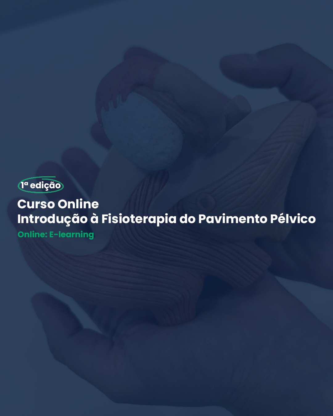 Curso Online de Introdução à Fisioterapia do Pavimento Pélvico