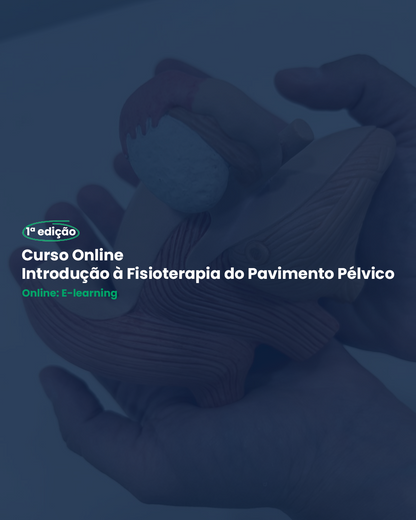 Curso Online de Introdução à Fisioterapia do Pavimento Pélvico